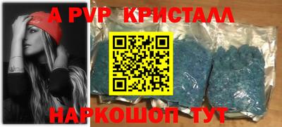стафф Шелехов