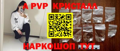 стафф Шелехов