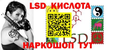стафф Шелехов