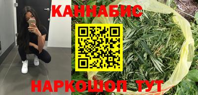 стафф Шелехов