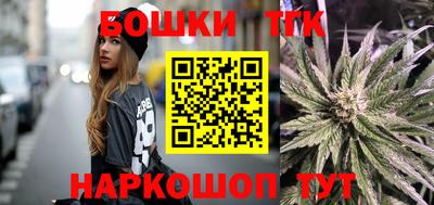 стафф Шелехов