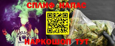 стафф Шелехов