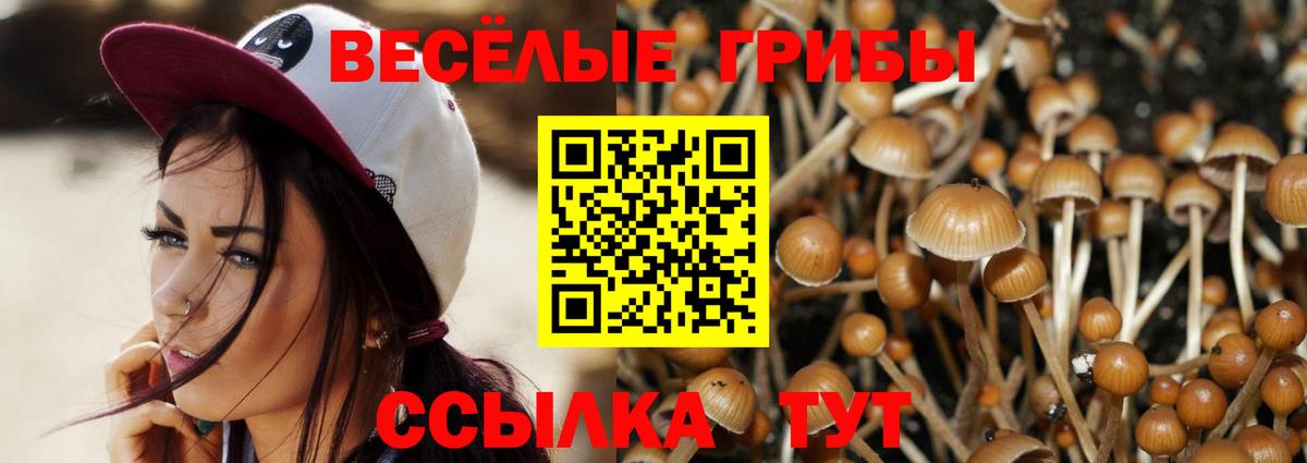 Псилоцибиновые грибы прущие грибы  Вход с VPN  Светлоград  Галлюциногенные грибы Psilocybe 