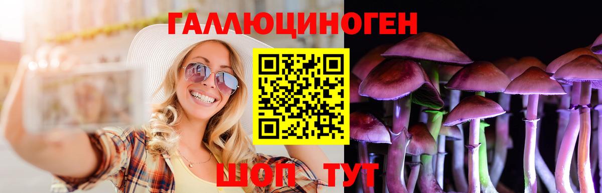 Псилоцибиновые грибы мухоморы Светлоград