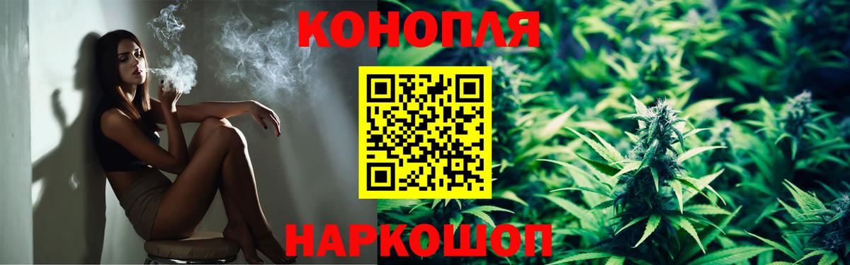 Бошки Шишки планчик Светлоград